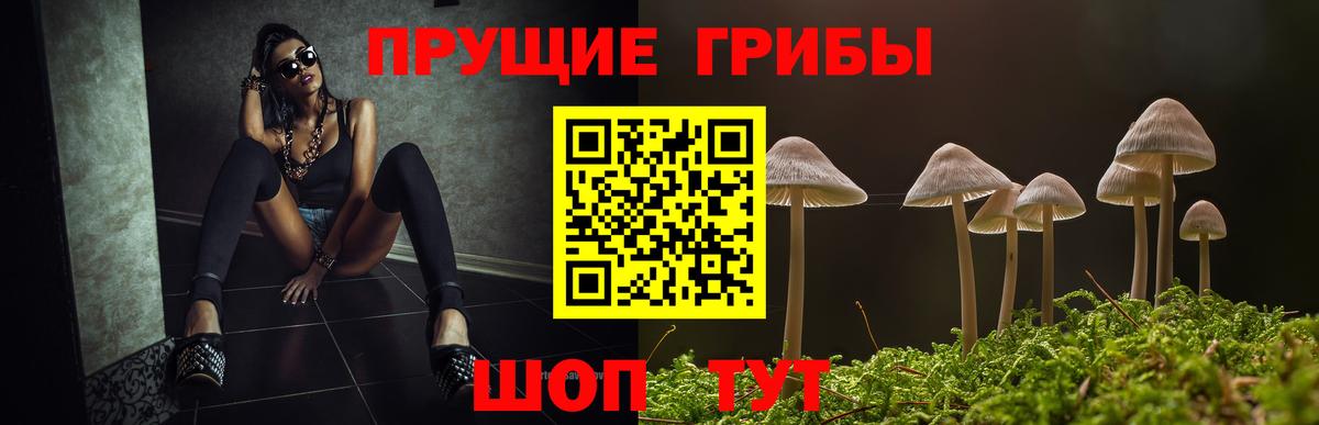 Псилоцибиновые грибы Cubensis Топки
